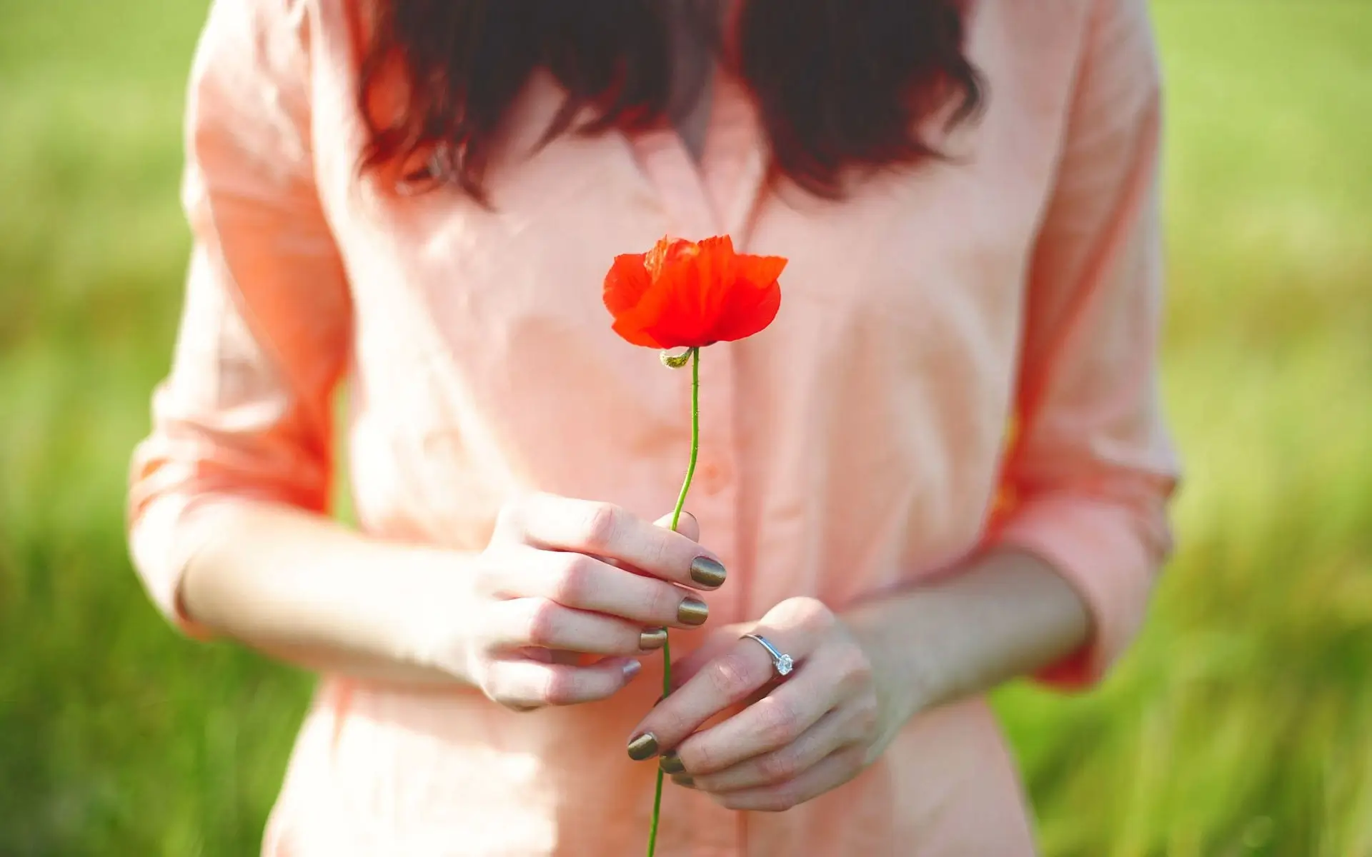 A single, beautiful poppy flower held in hand