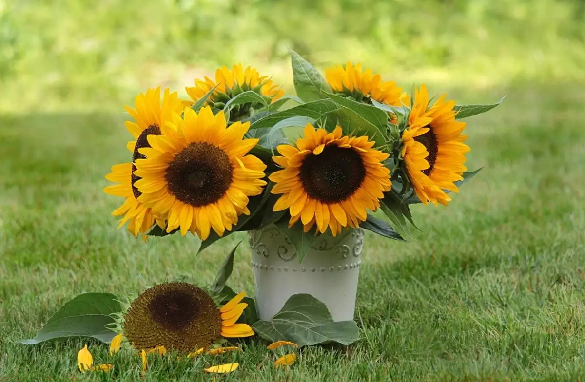 An uplifting bouquet with sunflowers