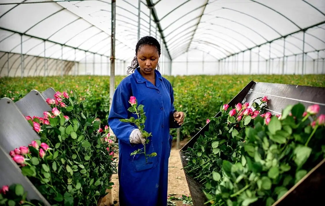 A friendly local grower holding a bunch of just-picked flowers
